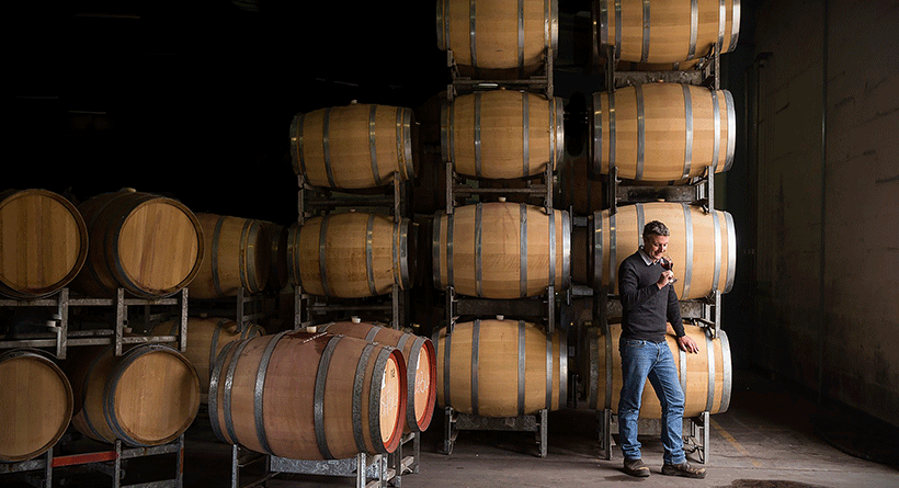 Patrick of Coonawarra barrels